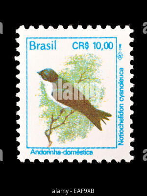 Briefmarke aus Brasilien mit blau-weiß Schwalbe (Notiochelidon Cyanoleuca) Stockfoto