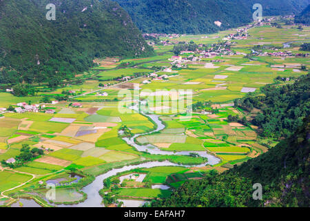 Reisfeld im Tal rund um mit Berg in Bac Sohn, Vietnam. Stockfoto