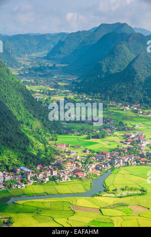 Dorf mit Reisfeld im Tal in Bac Sohn, Vietnam. Stockfoto