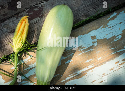 Zucchini und Blüte auf Holz Stockfoto