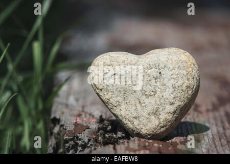 Stein Herz Form auf Holz. Grasgrün Stockfoto