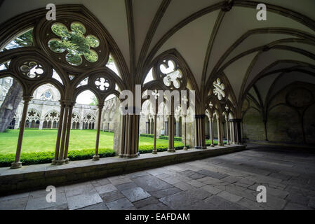 SALISBURY, Großbritannien - 4. Juni 2014: Ein Teil der gotischen Kreuzgang der Kathedrale von Salisbury Stockfoto