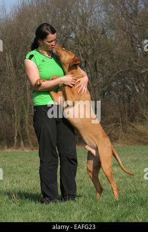 Frau mit Rhodesian Ridgeback Stockfoto