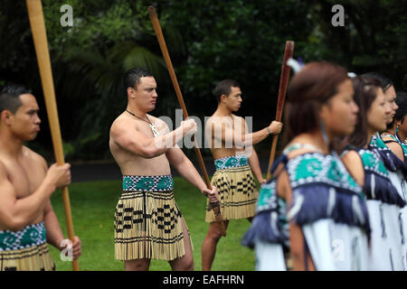 Auckland, Neuseeland. 14. November 2014. Teilnehmer der Maori Willkommenszeremonie für Bundeskanzlerin Angela Merkel stehen in Bildung in Auckland, New Zealand, 14. November 2014. Merkel besuchte nach Neuseeland vor ihrer Reise nach Brisbane, Australien, wo sie dem G20-Gipfel am 15. / 16. November an. Foto: Kay Nietfeld/Dpa/Alamy Live News Stockfoto