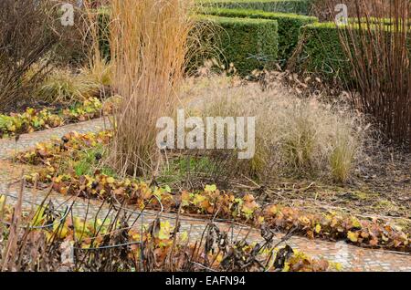 Chinesische silber Gras (Miscanthus sinensis 'gracillimus') und Zwerg Brunnen Gras (Pennisetum alopecuroides) Stockfoto