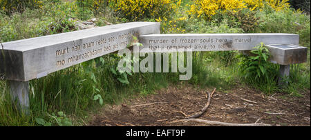 Website von Hinrichtungen bei Culloden Wald in Schottland. Stockfoto