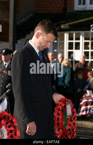 MP Jeremy Hunt Zahlen seinen Respekt zum Krieg tot am Kriegerdenkmal am Remembrance Day Sonntag, High Street, Haslemere, Surrey, UK. Stockfoto