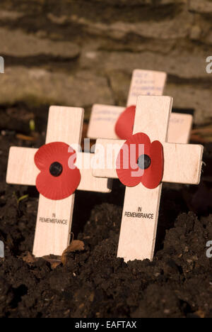 Mohn Kreuze gepflanzt am Remembrance Day Sonntag am Kriegerdenkmal Haslemere, High Street, Haslemere, Surrey, UK. Stockfoto