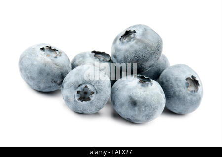 Heidelbeeren auf weißem Hintergrund Stockfoto