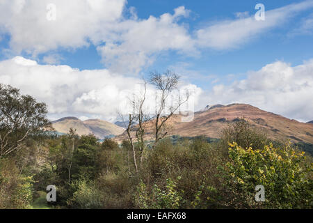 Glen Crerans Wald in Schottland. Stockfoto