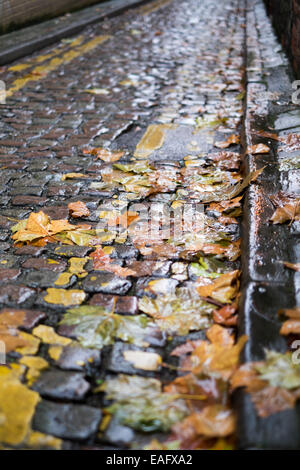 Nottingham, UK. 14. November 2014. UK-Wetter.  Dunklen Himmel und Starkregen in der Mitte des Nottingham.Said Clearning im Laufe des Tages zu sein. Nassen Herbst Blätter auf einem gepflasterten Stein Straße, Nottingham. Bildnachweis: IFIMAGE/Alamy Live-Nachrichten Stockfoto
