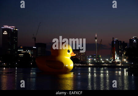 Seoul, Südkorea. 14. November 2014. Eine gigantische Gummiente, entworfen vom holländischen Künstler Florentijn Hofman sieht man schwimmt in Seokchon See, Seoul, Südkorea, auf Freitag, 14. November 2014. Die 300 kg, 54-Fuß hohen Gummiente wurde in Seoul vom 14. Oktober 2014 bis 14. November 2014 als Teil einer Werbeaktion für Lotte World Tower ausgestellt. Bildnachweis: Jone Ri/Alamy Live-Nachrichten Stockfoto