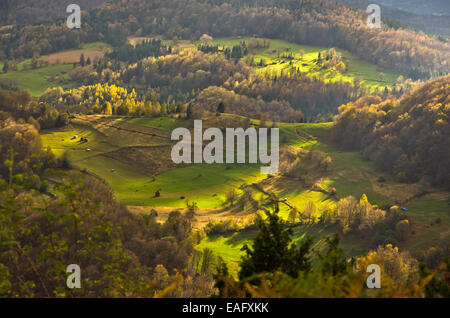 Bergwiesen im Herbst beleuchtet von devine Licht Stockfoto