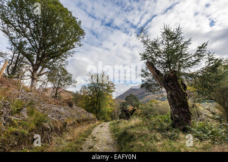 Glen Crerans in Argyll in Schottland. Stockfoto