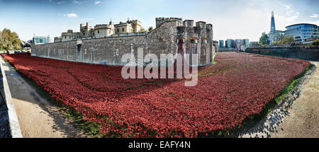 Panoramablick auf Keramik Mohnblumen am Tower of London zur Hundertjahrfeier des 1. Weltkrieges zu gedenken Stockfoto