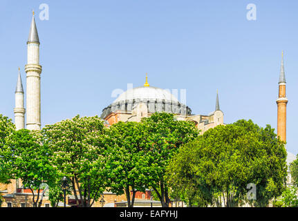 Alten Hagia Sophia Exterior in Sultanahmet an einem sonnigen Tag, Istanbul Stockfoto