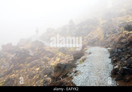 Wanderer zu Fuß auf öffentlichen Track an der Tongariro National Park, Neuseeland Stockfoto