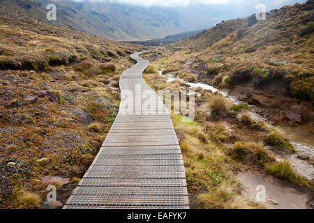 Öffentliche Tritte Spur im Tongariro Nationalpark in Neuseeland Stockfoto