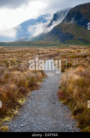 Öffentliche Tritte Spur im Tongariro Nationalpark in Neuseeland Stockfoto