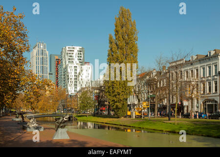 Farben des Herbstes entlang Westersingel und '' Calypso'', moderne Architektur in den Hintergrund, Rotterdam, Südholland, Niederlande Stockfoto