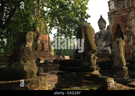 Wat Phra Mahathat - Geschichtspark Ayutthaya - Thailand Stockfoto