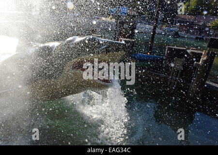 Universal Studios in Los Angeles. Stockfoto