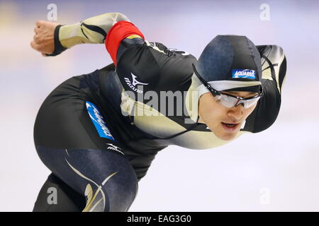 Obihiro, Japan. 14. November 2014. Daichi Yamanaka (JPN)-Speed-Skating: Männer 500m DivisionA von der ISU-Eisschnelllauf-WM im Meiji Hokkaido Tokachi Oval in Obihiro, Japan. Bildnachweis: AFLO SPORT/Alamy Live-Nachrichten Stockfoto