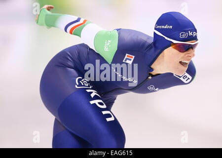 Obihiro, Japan. 14. November 2014. Marije Joling (NED) Speed-Skating: Frauen 3000m DivisionA von der ISU-Eisschnelllauf-WM im Meiji Hokkaido Tokachi Oval in Obihiro, Japan. Bildnachweis: AFLO SPORT/Alamy Live-Nachrichten Stockfoto