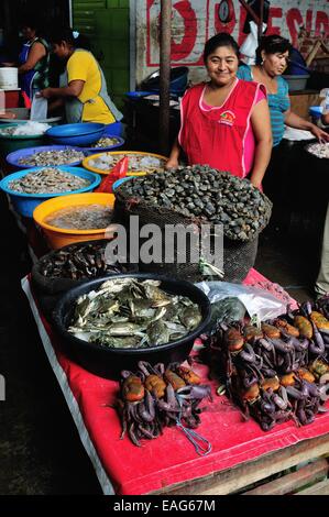 Zerfleischen Sie Krabbe - Markt in TUMBES. Abteilung von Tumbes. Peru Stockfoto