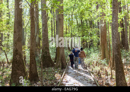 Eine Familie geht die Promenade Schleife durch Congaree Nationalpark, die größte intakte Weite des alten Flussniederung Laubwald im Südosten der Vereinigten Staaten in Columbia, South Carolina. Stockfoto