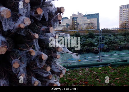 Vauxhall, London, UK. 14. November 2014. Arbeiter bauen Sie ein Weihnachtsbaum Labyrinth im Park von Vauxhall vor der legendären MI6 Bau Kredit: Rachel Megawhat/Alamy Live News Stockfoto