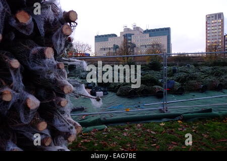 Vauxhall, London, UK. 14. November 2014. Arbeiter bauen Sie ein Weihnachtsbaum Labyrinth im Park von Vauxhall vor der legendären MI6 Bau Kredit: Rachel Megawhat/Alamy Live News Stockfoto