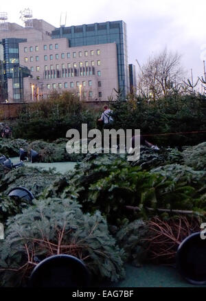 Vauxhall, London, UK. 14. November 2014. Arbeiter bauen Sie ein Weihnachtsbaum Labyrinth im Park von Vauxhall vor der legendären MI6 Bau Kredit: Rachel Megawhat/Alamy Live News Stockfoto