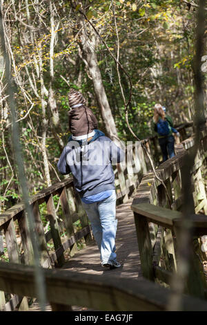 Eine Familie geht die Promenade Schleife durch Congaree Nationalpark, die größte intakte Weite des alten Flussniederung Laubwald im Südosten der Vereinigten Staaten in Columbia, South Carolina. Stockfoto