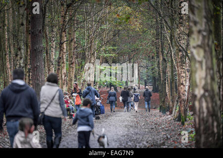 Familien genießen einen Spaziergang durch Thorndon Woods in Essex. Stockfoto