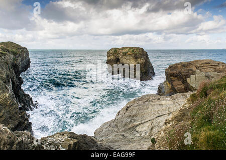 Die zerklüftete Küste von Porth Insel in Newquay, Cornwall. Stockfoto