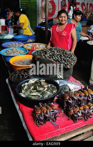 Zerfleischen Sie Krabbe - Markt in TUMBES. Abteilung von Tumbes. Peru Stockfoto