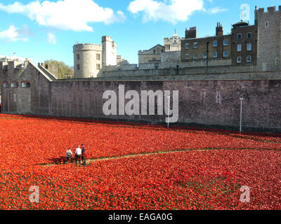 2014 Keramik Mohn in den Tower of London als Symbol für den 1. Weltkrieg Centenary "Blut Mehrfrequenzdarstellung Länder und Meere of Red" anzeigen Stockfoto