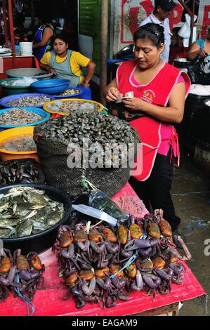 Zerfleischen Sie Krabbe - Markt in TUMBES. Abteilung von Tumbes. Peru Stockfoto