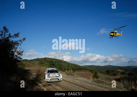 Clocaenog, Wales. 14. November 2014. FIA World Rally Championship, Wales Rallye GB. Jari-Matti Latvala und Miikka Anttila Finnlands konkurrieren in der Volkswagen Motorsport Polo R WRC 2 Phase Dyfi am zweiten Tag. Bildnachweis: Aktion Plus Sport/Alamy Live-Nachrichten Stockfoto