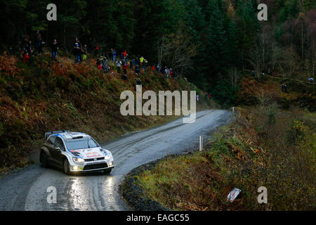 Clocaenog, Wales. 14. November 2014. FIA World Rally Championship, Wales Rallye GB. Andreas Mikkelsen und Ola Floene Norwegens treten im Volkswagen Motorsport II Polo R WRC in der Dyfi 1 Phase am zweiten Tag. Bildnachweis: Aktion Plus Sport/Alamy Live-Nachrichten Stockfoto