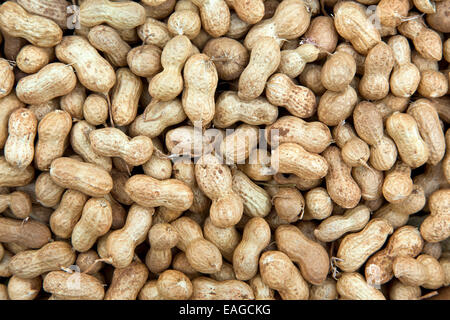 Nahaufnahme der "spanischen" Erdnüsse. Stockfoto