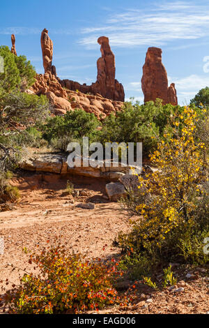 Herbst Farbe in eine Trockenwäsche im Bereich Klondike Bluffs mit den Männern marschieren im Arches National Park, Utah. Stockfoto