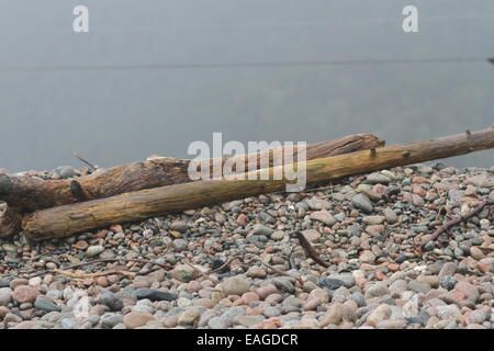 Küstenlinie entlang der Cabot Trail in Cape Breton, Nova Scotia. Stockfoto