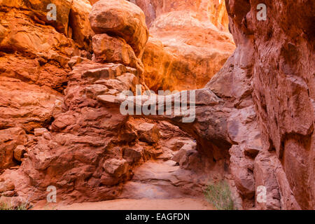 Die Marslandschaft begehbaren Bogen im Feuerofen Abschnitt des Arches National Park in Utah. Stockfoto