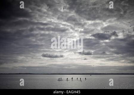 Stand-up-Paddel-Boarder am Strangford Lough, in der Nähe von grauen Kloster, County Down, Nordirland Stockfoto