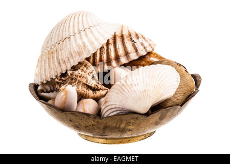 viele Muscheln in einer Schüssel über einem weißen Hintergrund isoliert Stockfoto