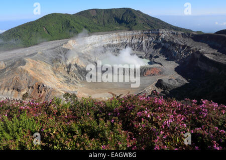 Aktiven Krater des Vulkan Poas, Alajuela, Costa Rica. Januar 2013. Stockfoto