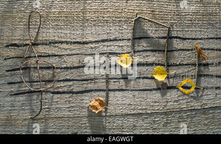 Musiknoten-Konzeption. Hölzerne Noten und Blätter Stockfoto