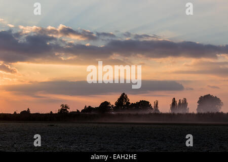 Sonnenuntergang auf kultivierten Feldern im italienischen Landschaft in der Emilia Romagna Stockfoto